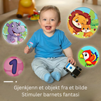 Lommelykt Med Projektor